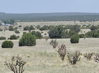 40 Brazos Ct, Estancia, NM 87016