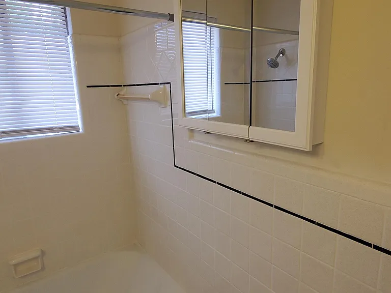 Retro Tile in barhroom