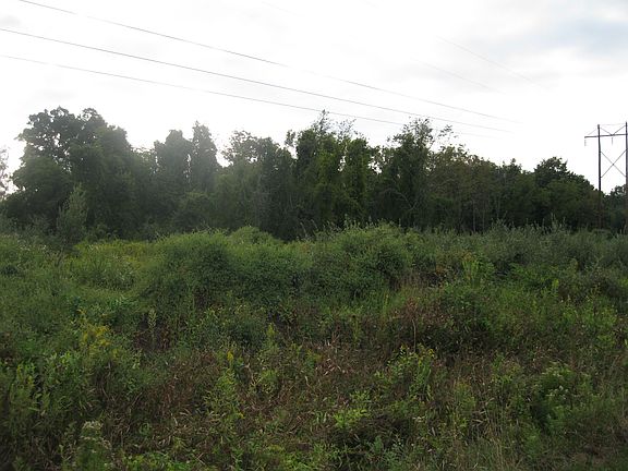 4th image of Druck Valley Road