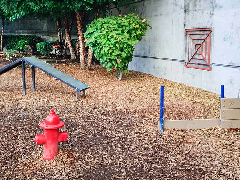 Apartment community off-leash dog park at Griffis Lake Washington in Renton, Washington.