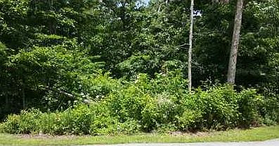 1st image of Hamilton Dr