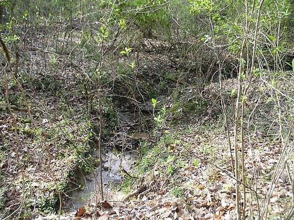 creek with picnic area