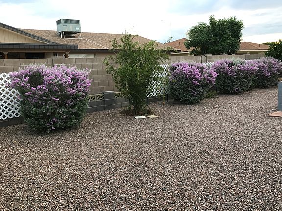 4th image of 5024 E Flower Ave