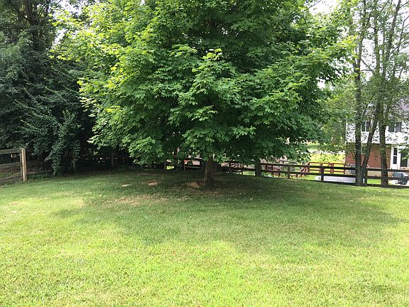 Beautiful level fenced yard