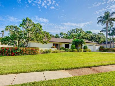 4311 Middle Lake Dr, Tampa, FL, 33624