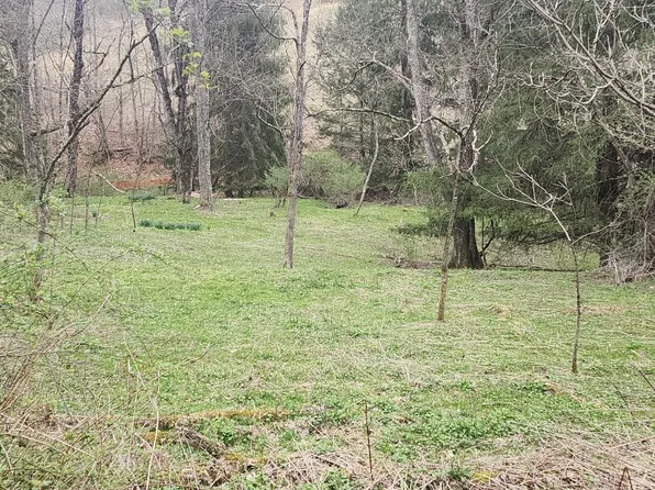 Locust Grove Rd, Craigsville, WV 26205