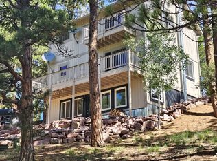 493 Lost Lake Dr, Divide, CO 80814