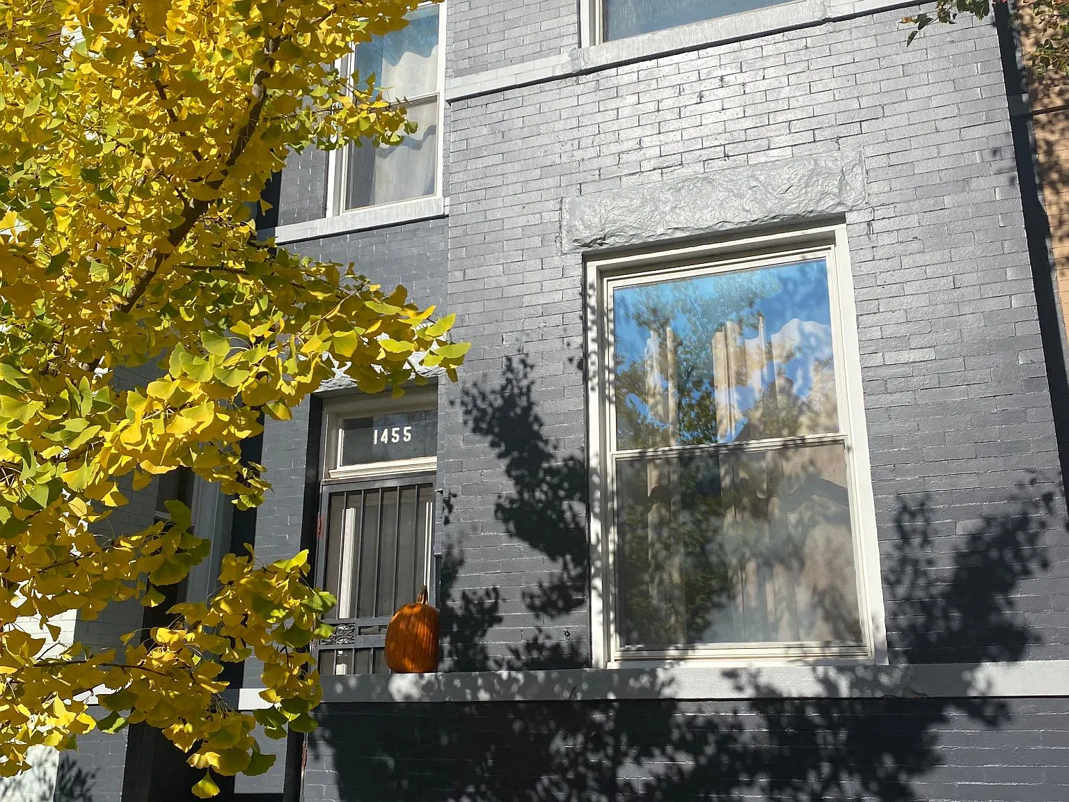 1 bed, 1500 sqft, $1,600 — Photo 2