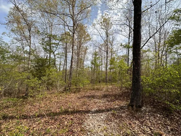 223 Wedgewood Lane, Mammoth Spring, AR 72554