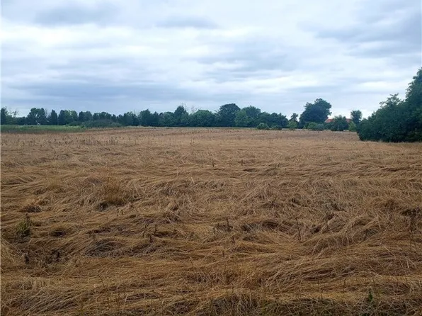 4245 Harveysburg Rd, Waynesville, OH 45068