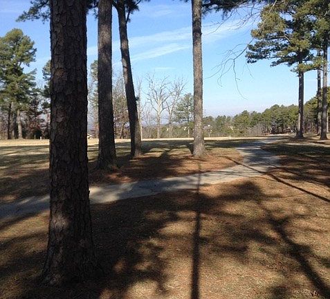 2nd image of Holiday Island Dr #3