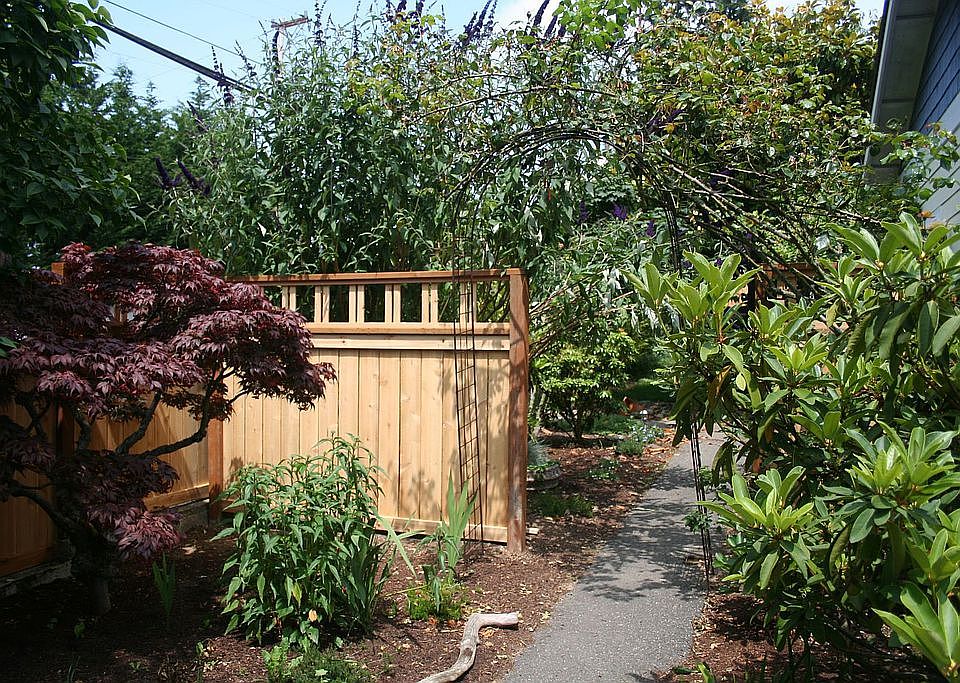 Fenced yard