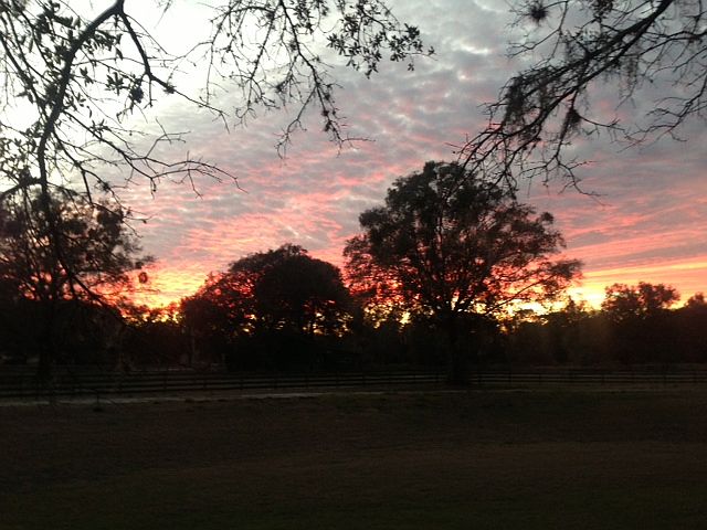 Back yard sunset