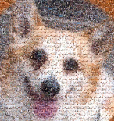 Rented by R New York | media 15