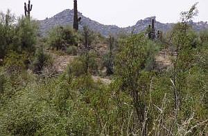 1st image of 8145 E TECOLOTE Circle #20