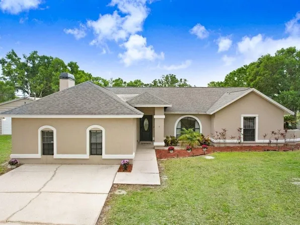 13109 Lilita Ave, Dover, FL 33527