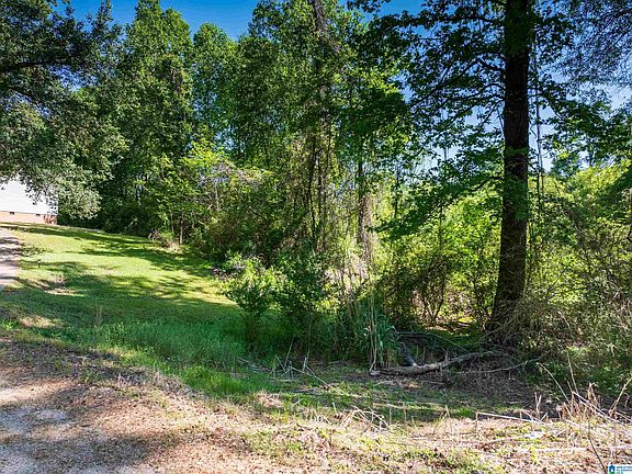 5th image of Off Of Joe Brackett Rd #X