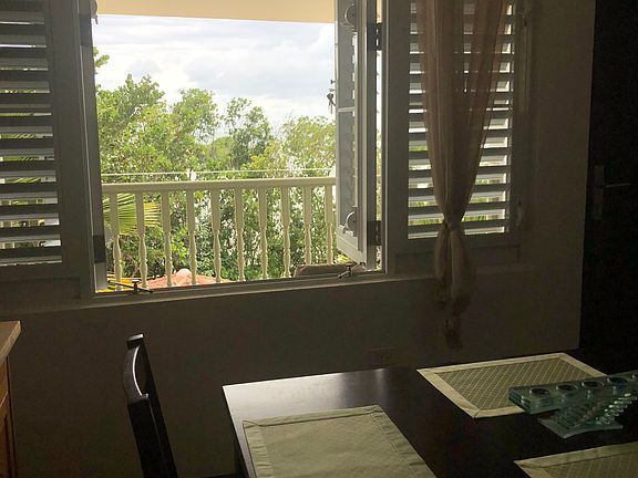 View from Dinning Table