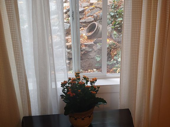 view out west side window