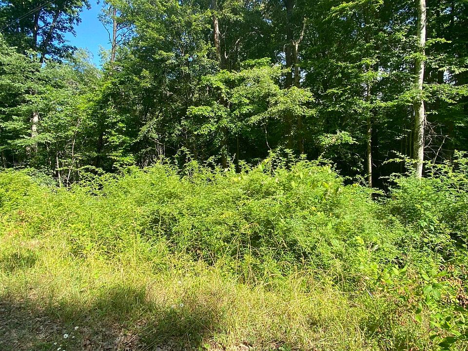2nd image of 3127 Crow Dr