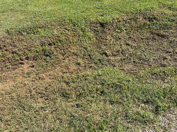 0 Jefferson Ave W #14-15, Oneonta, AL 35121