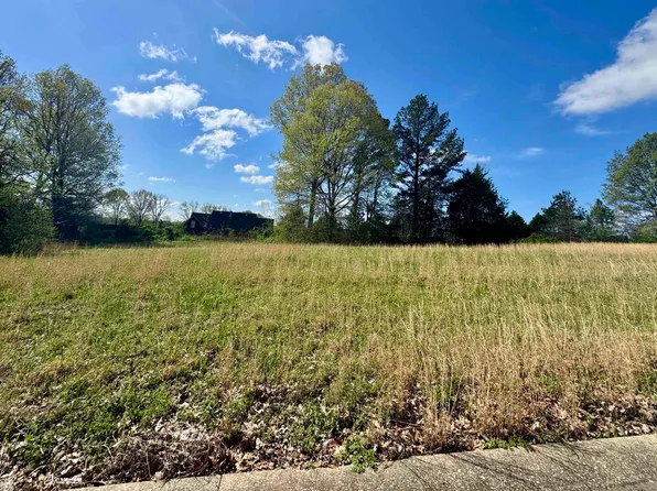 60 York Cmns, Ripley, TN 38063