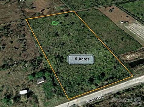 1st image of 29445 Pine Villa Cir