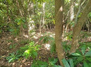 Edgeview Dr, Meadows Of Dan, VA 24120