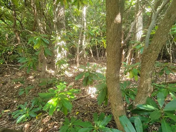 Edgeview Dr, Meadows Of Dan, VA 24120