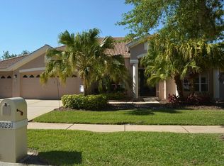 10231 Arbor Side Dr, Tampa, FL 33647