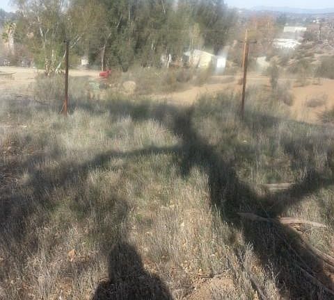 4th image of 33951 Buckboard Trl