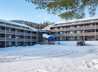 8 Fall Line Dr #E202, Bethel, ME 04217