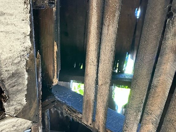 5th image of 517 Holmes St