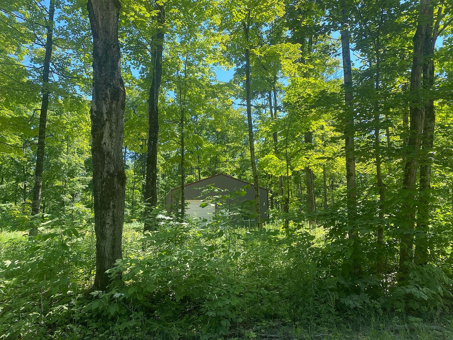 4501 E Simmons Rd, Hessel, MI 49745 Zillow