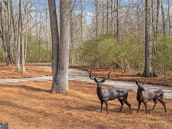 5th image of 2995 Gum Creek Rd