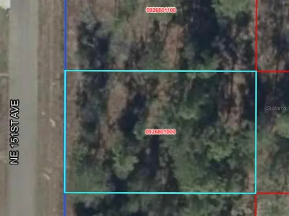 NE 151st Ave Lot 25, Williston, FL 32696