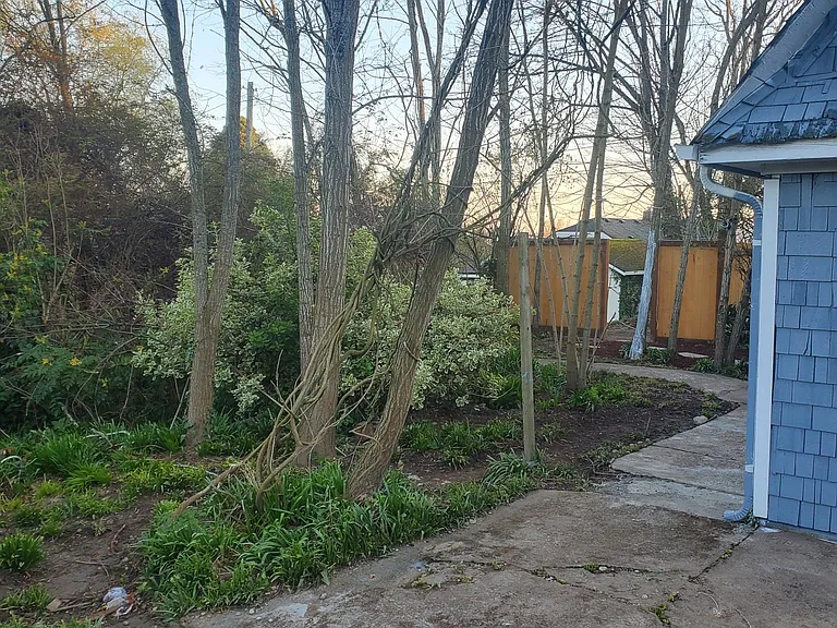 A view of the forested garden surrounds