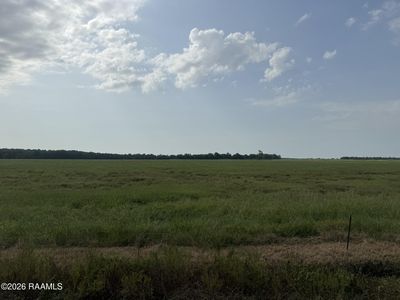 Whiteville Tract Rd #8, Ville Platte, LA, 70586