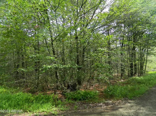PARCEL 8 Wapiti Way Lot 16, Eagles Mere, PA 17731
