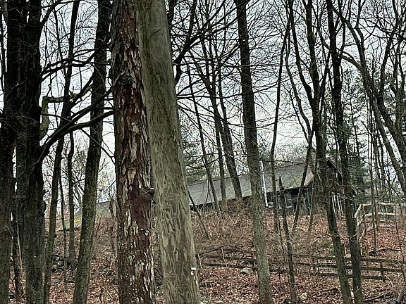 3rd image of 85 Poverty Hollow Rd