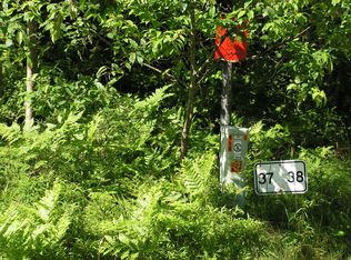 Fox Run, Grayling, MI 49738