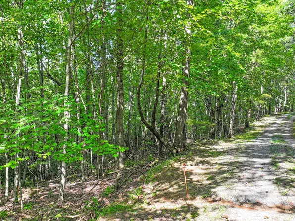 0 N View Dr, Mineral Bluff, GA 30559