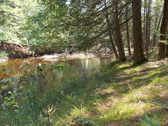 3rd image of Off N River Ln
