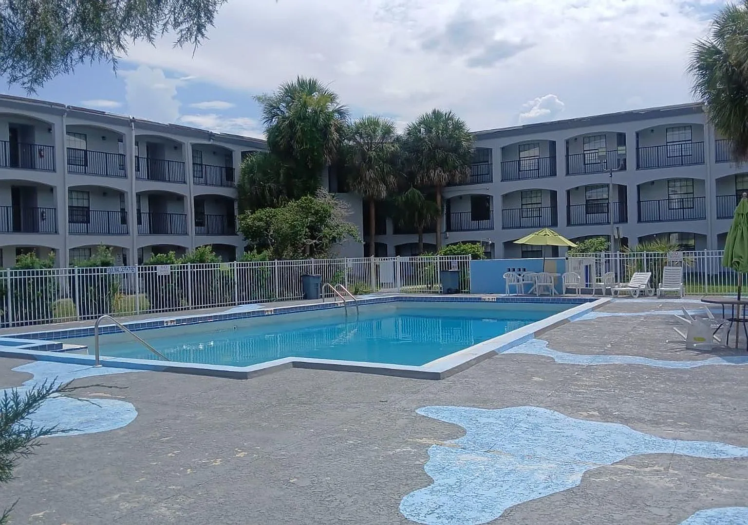 Palm Square/Belle — Photo 2