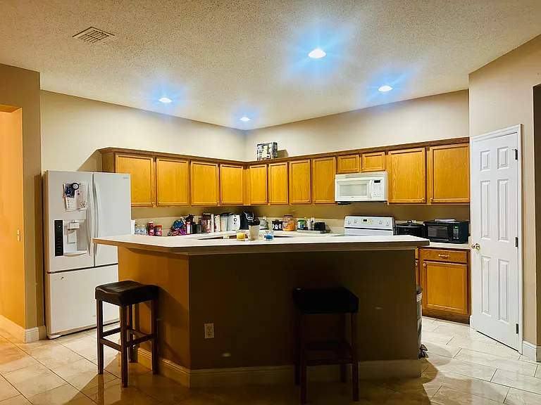 2457 Guiana Plum Dr — Photo 2