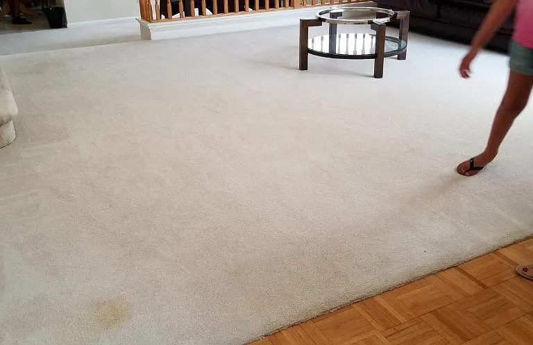 5411 Sandpiper Ct — Photo 3