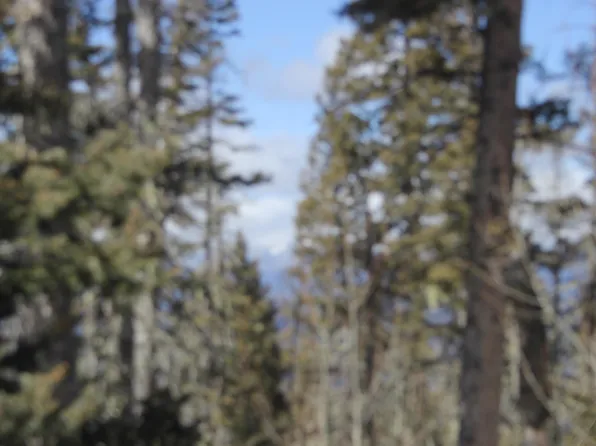 19 Happy Way, Angel Fire, NM 87710