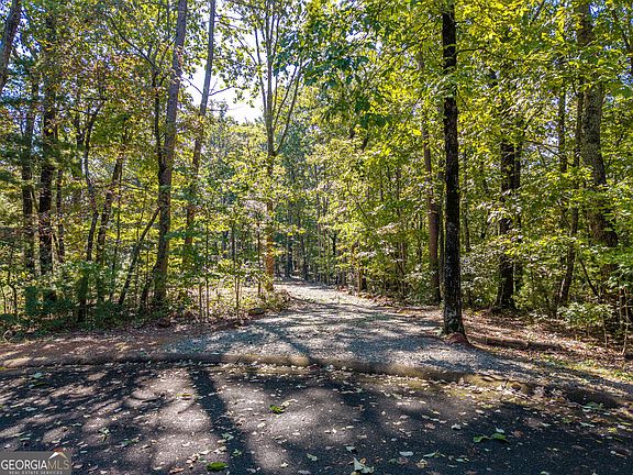 5th image of LOT 22 23 0 Abbott Mill Rd