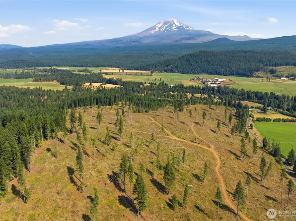 0 Little Mountain Road, Trout Lake, WA 98650