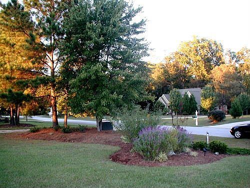 View from front of home t